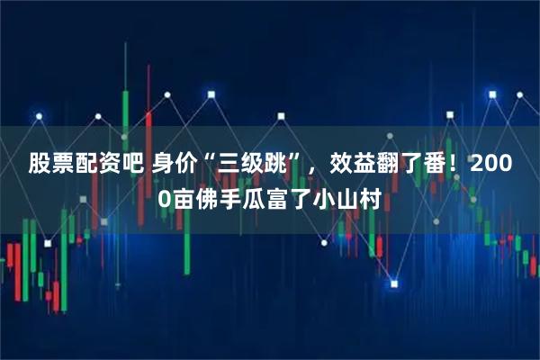 股票配资吧 身价“三级跳”，效益翻了番！2000亩佛手瓜富了小山村