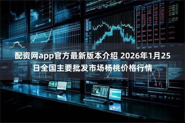 配资网app官方最新版本介绍 2026年1月25日全国主要批发市场杨桃价格行情